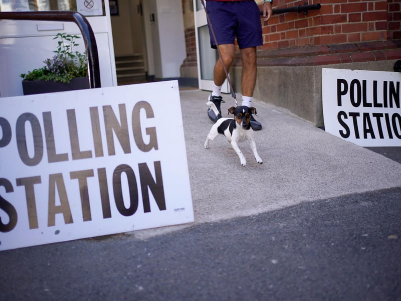 Nine-month-old Jack Russell, Stellar, leaves the polling station at Surbiton Hill Methodist Church in Surbiton
