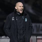 Hibs caretaker boss David Gray.