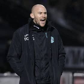 Hibs caretaker boss David Gray.