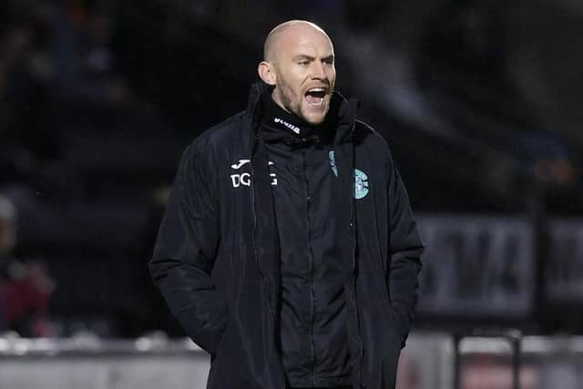 Hibs caretaker boss David Gray.