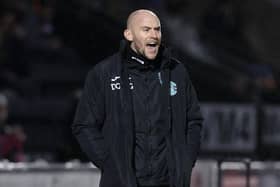 Hibs caretaker boss David Gray.