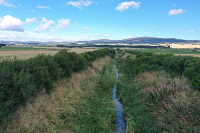 A new project to re-design a 4-kilometre stretch of the Tarland burn aims to regenerate it, bringing a raft of benefits for nature and the region’s resilience to climate change. (Photo: Richard Humpidge, RSPB).