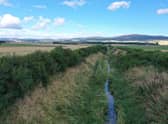 A new project to re-design a 4-kilometre stretch of the Tarland burn aims to regenerate it, bringing a raft of benefits for nature and the region’s resilience to climate change. (Photo: Richard Humpidge, RSPB).