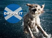 This refers to something being drenched or if your clothes are totally soaked through - if you find yourself drookit then you probably forget your umbrella.