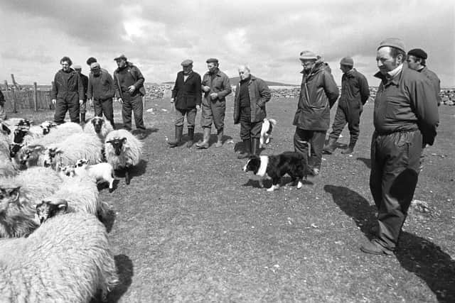 A scene from the Shepherds of Berneray. PIC: Allen Moore.