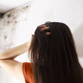 Research undertaken by Opinium found 92 per cent of those surveyed planned to keep their windows closed this winter - despite the risk of mould in homes