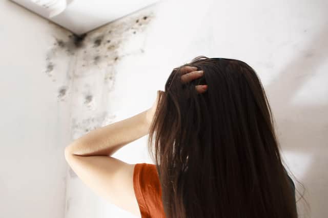 Research undertaken by Opinium found 92 per cent of those surveyed planned to keep their windows closed this winter - despite the risk of mould in homes