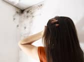 Research undertaken by Opinium found 92 per cent of those surveyed planned to keep their windows closed this winter - despite the risk of mould in homes