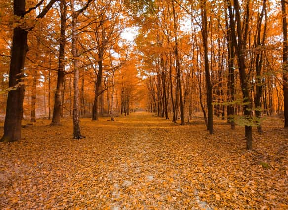 Autumn is the time of year when Scotland is arguably at its most beautiful.