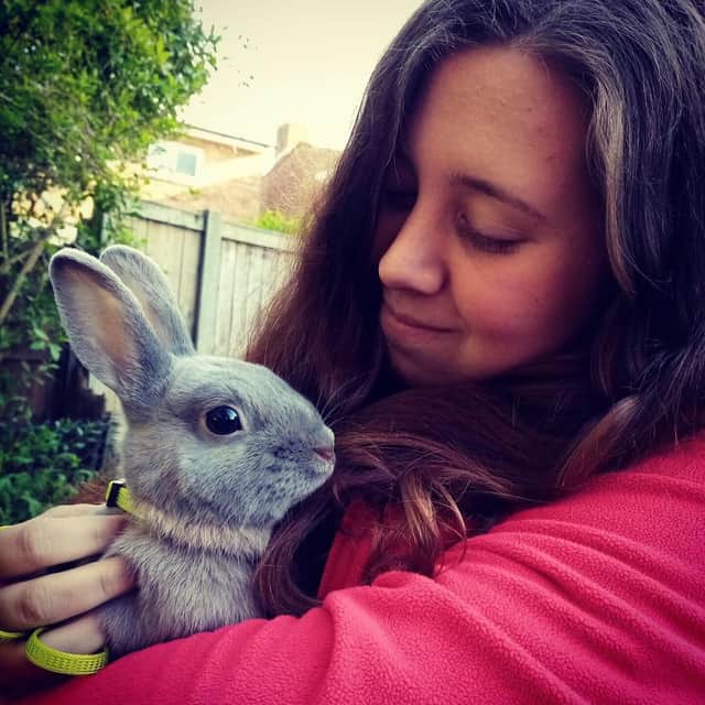 Jollyes, the nationwide pet store, is taking action to protect pets over Easter by putting a temporary bunny ban in place.