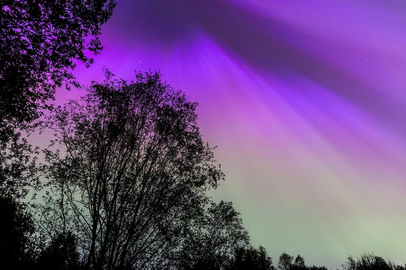 Northern lights at Drumpellier Country Park, North Lanarkshire