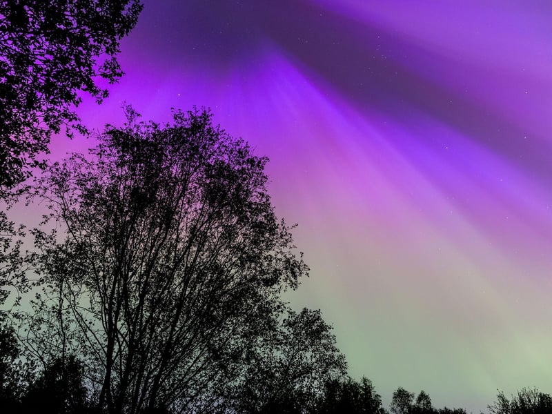 Northern lights at Drumpellier Country Park, North Lanarkshire