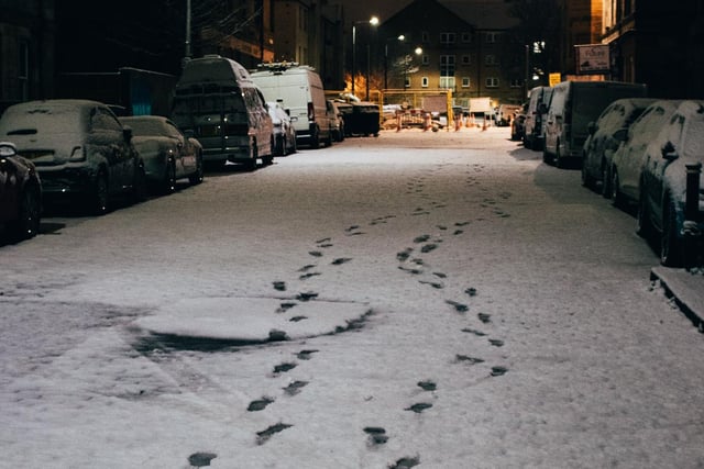 This mystical pic was taken by Chris Belous in the Leith area.