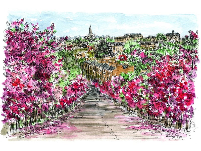 A sketch from the southside of Edinburgh looking towards the castle from Braid Avenue. For this commission I was asked to capture the blossom for a person whose commute to work includes this pretty city street.