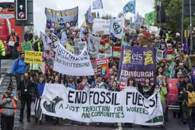 Environmental campaigners have called for more action from the Scottish Government, Picture: Lisa Ferguson