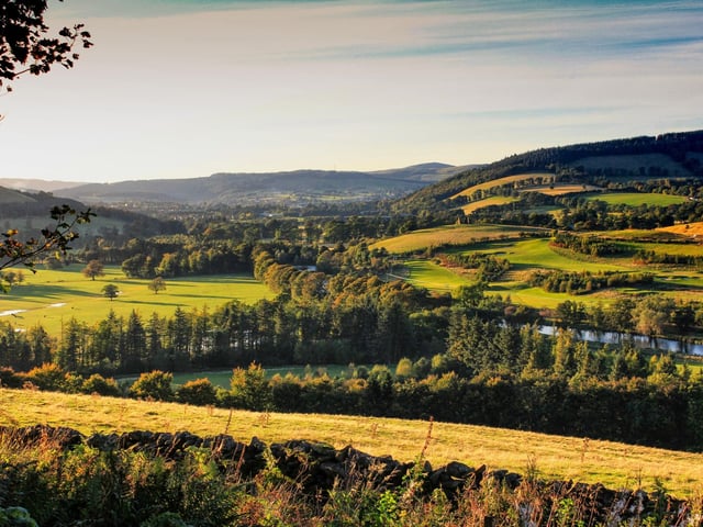 A little further afield, but still less than an hour from Edinburgh, Cardrona Forest is a stunning spot near the Borders town of Peebles. Choose from four different forest walks and keep an eye out for the red squirrels that reside there. Despite popular perception, the cute creatures don't hibernate and spring is one of the best times to see them.