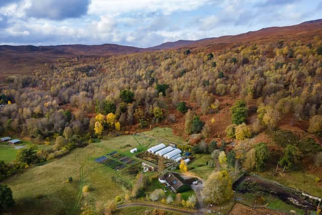 Trees for Life at Dundreggan, Glenmoriston, a former sporting estate where nature is now being restored across 10,000 acres. PIC: Contributed.
