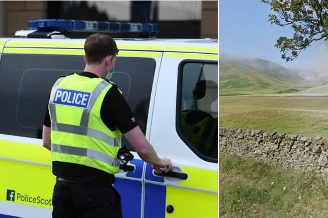 Peebles crime: A number of sheep, many of them pregnant, have been found dead at a farm in the Scottish Borders after a suspected dog attack