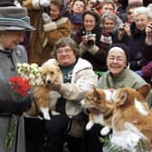 Queen Elizabeth II talks with members of the Manitoba Corgi Association during a visit to Winnipeg in October 2002.