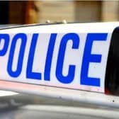 A man has been charged after he allegedly grabbed a seagull to attack a member of the public in Oban.