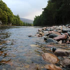 Four rare casks of malt whisky have been donated to the River Dee Trust to help fund a major project to improve the iconic river environment and boost wild salmon populations