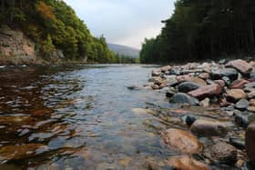 Four rare casks of malt whisky have been donated to the River Dee Trust to help fund a major project to improve the iconic river environment and boost wild salmon populations