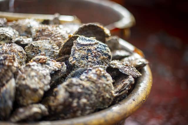 Oysters, mussels and other bivalves are stationary filter-feeders, making them highly susceptible to sucking up local contaminants in seawater