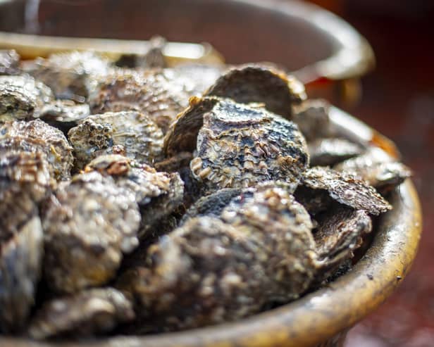 Oysters, mussels and other bivalves are stationary filter-feeders, making them highly susceptible to sucking up local contaminants in seawater