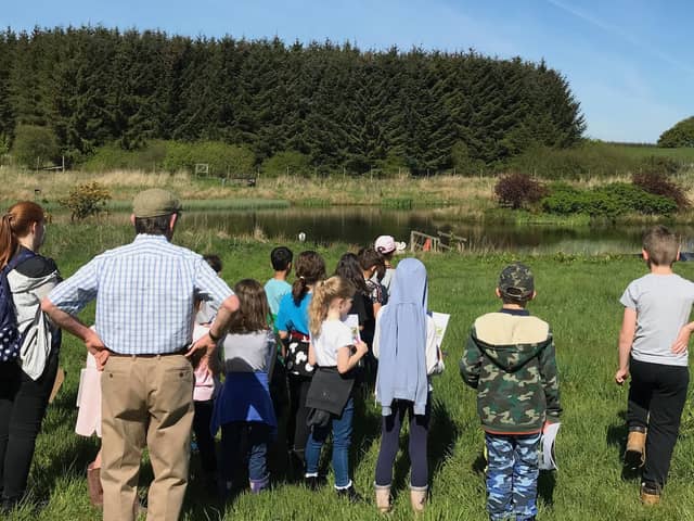 Farm visits for youngsters are popular, especially in fine weather.