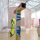 Installation view of work by James Epps in the 2023 GSA MFA show PIC: Alan McAteer