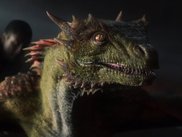Vermax, Arrax, and Tyraxes are given as eggs to Rhaenyra Targaryen’s sons Jacaerys, Lucerys, and Joffrey when they are born. They are among the youngest dragons in the Dance of Dragons, about as large as Drogon when Daenerys first flies him in Meereen.