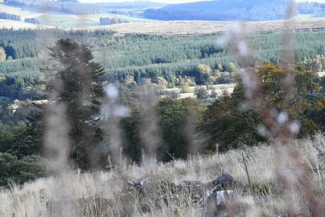 Driven pheasant and grouse shooting has ceased on the estates to make way for tree planting and river restoration projects