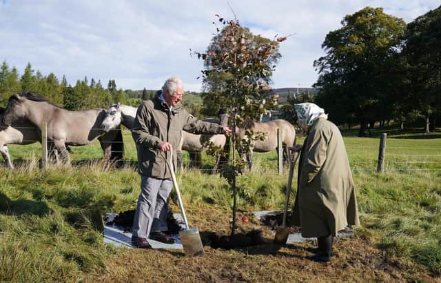 Queen Elizabeth and Prince Charles plant a tree to mark the start of the official planting season for the Queen's Green Canopy at the Balmoral Cricket Pavilion (Picture: Andrew Milligan/pool/AFP via Getty Images)