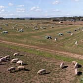 Financial specialists warn that subsidy cuts are at the forefront of a cash, labour and environmental triple whammy for farmers.