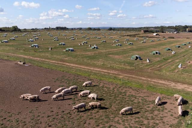 Financial specialists warn that subsidy cuts are at the forefront of a cash, labour and environmental triple whammy for farmers.