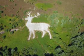 The white stag on Mormond Hill near Fraserburgh has emerged after volunteers spent five years bringing the landmark back into view. PIC: Contributed.