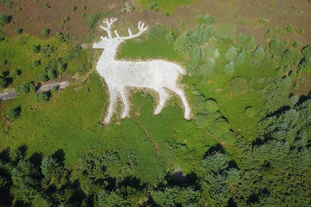 The white stag on Mormond Hill near Fraserburgh has emerged after volunteers spent five years bringing the landmark back into view. PIC: Contributed.