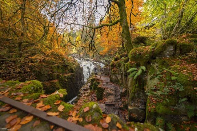 Stunning autumn colours at Perthshire's Hermitage.