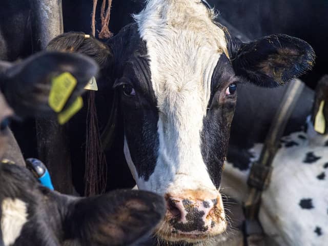 Dairy farming is a 'sensitive sector', says David Swales