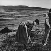 Old-style farming methods, as seen on Skye circa 1910, are not easy to duplicate today, advises reader (Picture: Hulton Archive/Getty Images)