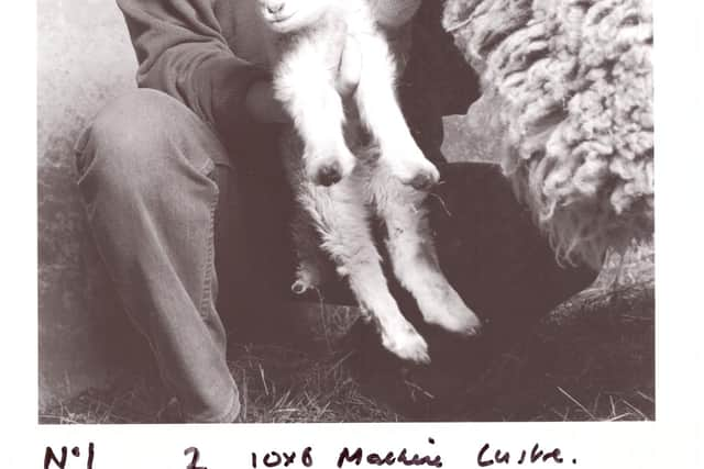 A world first: Dolly: The Sheep that Changed the World.
Picture Shows: John Bracken with Dolly the sheep  - (C) Roslin Institute - Photographer: