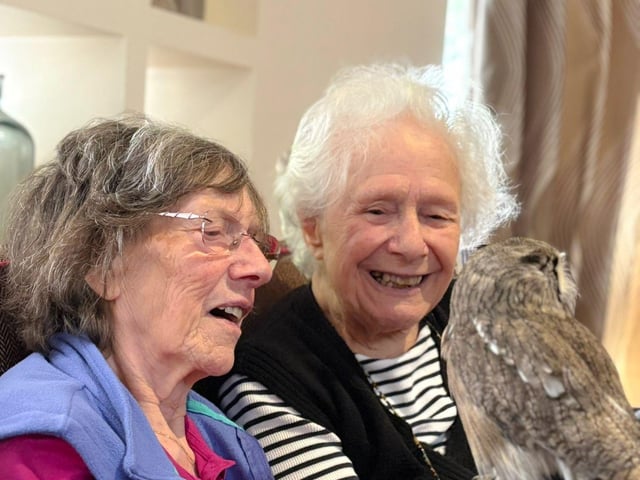 residents enjoying the show