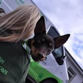 Edinburgh Dog and Cat home faces an uncertain future after a staggering 800 per cent rise in gas and electricity bills.
