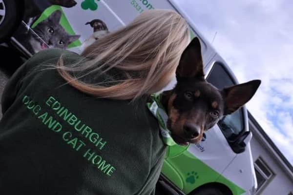 Edinburgh Dog and Cat home faces an uncertain future after a staggering 800 per cent rise in gas and electricity bills.