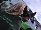 Edinburgh Dog and Cat home faces an uncertain future after a staggering 800 per cent rise in gas and electricity bills.