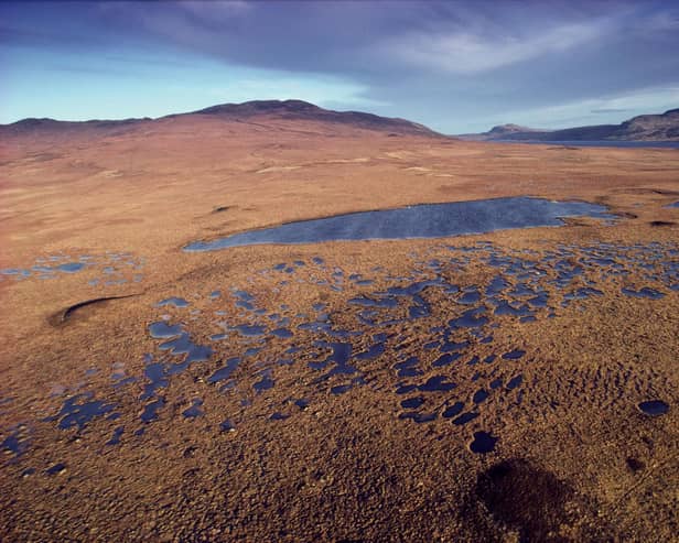 Campaigners are preparing a bid to Unesco which could see the Flow Country, a vast area of peatbogs stretching across 190,000 hectares of Caithness and Sutherland, designated as a World Heritage Site