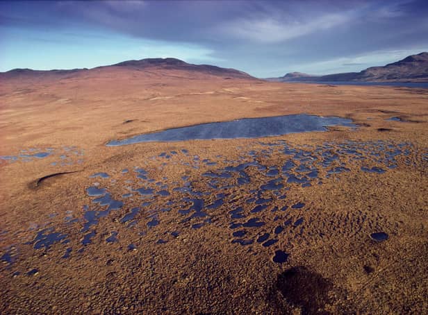 Campaigners are preparing a bid to Unesco which could see the Flow Country, a vast area of peatbogs stretching across 190,000 hectares of Caithness and Sutherland, designated as a World Heritage Site