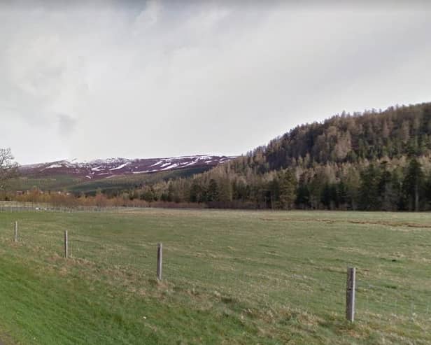 Mar Lodge Estate is one of the nature reserves that will see more species monitoring, habitat restoration work, and regeneration efforts.