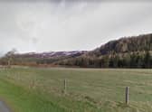 Mar Lodge Estate is one of the nature reserves that will see more species monitoring, habitat restoration work, and regeneration efforts.