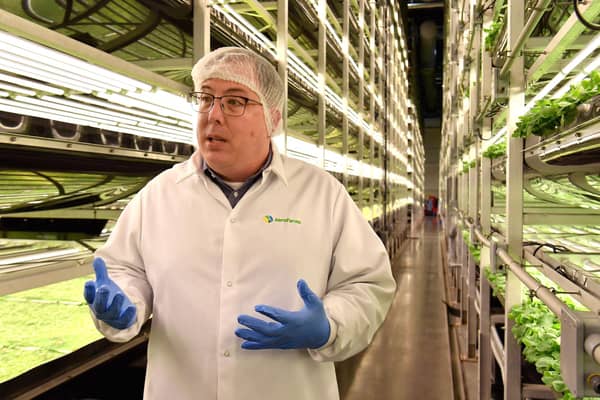 Vertical farming is an efficient way to grow vegetables (Picture: Angela Weiss/AFP via Getty Images)